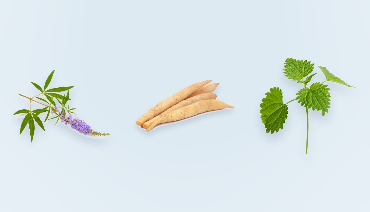 Chaste tree, shatavari root and stinging nettle root, the three cycle botanicals