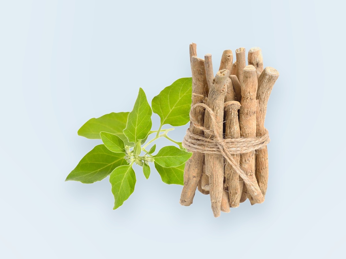 Organic KSM-66 Ashwagandha root extract